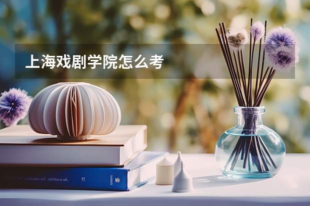 上海戏剧学院怎么考