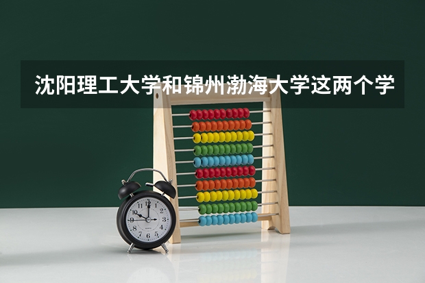 沈阳理工大学和锦州渤海大学这两个学校哪个好？如果成考什么专业比较好呢？