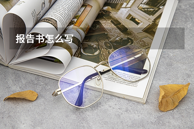 报告书怎么写