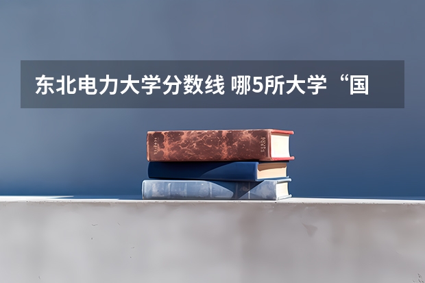 东北电力大学分数线 哪5所大学“国家电网”最看好，毕业生很抢手，考上就是铁饭碗？
