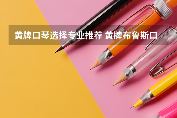 黄牌口琴选择专业推荐 黄牌布鲁斯口琴哪种款式好？