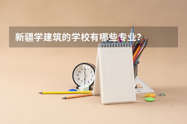 新疆学建筑的学校有哪些专业？
